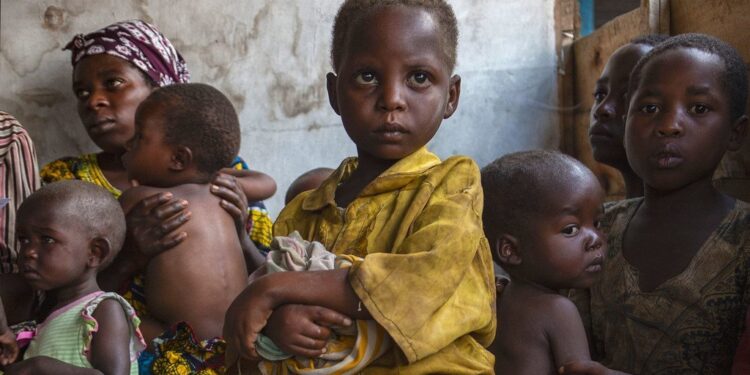 image1024x768 - Agora Grands-Lacs RDC : plus de 27 millions de personnes en insécurité alimentaire aiguë (OCHA)