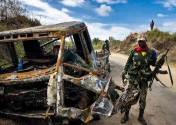 Massacres des ADF à Ntoyo : les ressortissants de Manguredjipa dénoncent l’inaction des autorités