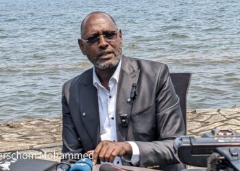 RDC : Moïse Nyarugabo s&rsquo;interroge sur l' »acharnement meurtrier » contre Minembwe