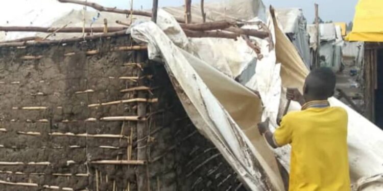 IMG-20250911-WA0015 - Agora Grands-Lacs Bunia : plus de 100 abris de déplacés détruits par une tempête à Kigonze