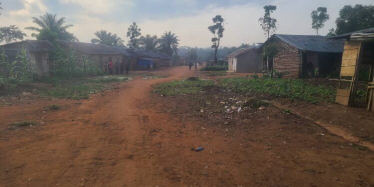 Irumu : deux morts et des blessés dans une incursion ADF à Idou