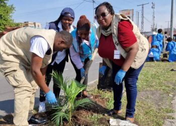 Goma : autour de CAFED, les femmes plantent des « arbres de la paix »