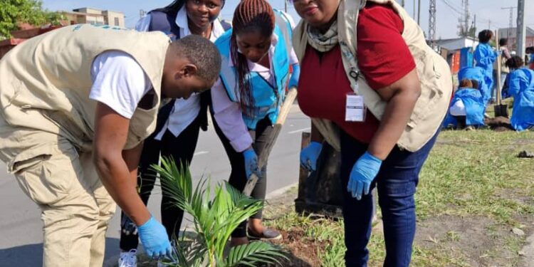 Goma : autour de CAFED, les femmes plantent des « arbres de la paix »
