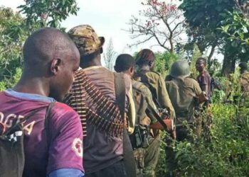 Djugu : des combattants de Zaïre déposent les armes auprès des FARDC à Dala