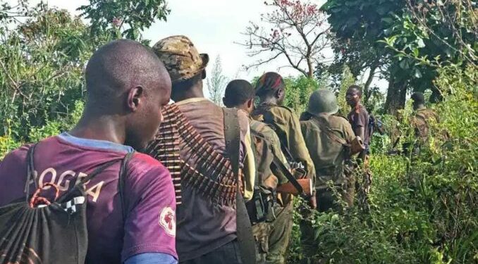 Djugu : des combattants de Zaïre déposent les armes auprès des FARDC à Dala