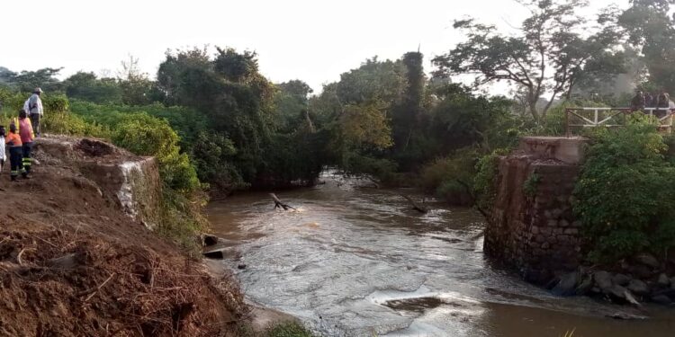 Ituri : l’effondrement du pont Kibi plonge les agriculteurs dans l’incertitude
