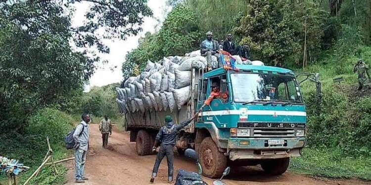 IMG-20251014-WA0007 - Agora Grands-Lacs Butembo : face à la tracasserie routière et l’agresseion de Maziwa Joël, l’ACMPROBENNE déclare la guerre aux abus