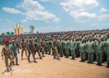 RDC : formation et renforcement des capacités opérationnelles des FARDC au cœur de l&rsquo;action du gouvernement