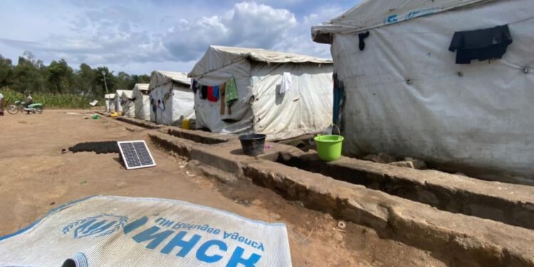 IMG-20251117-WA0024 - Agora Grands-Lacs Bunia : 43 déplacés interpellés au cours d’un bouclage