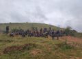 Ituri : plus de 100 soldats des FARDC terminent une formation intensive au combat en milieu forestier