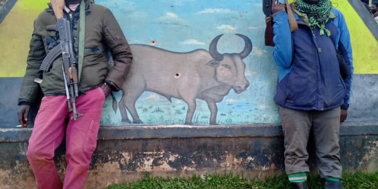 Ituri : légère accalmie à Bule après de violents affrontements entre FARDC et CRP