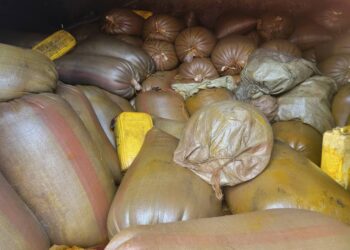 Bunia : le prix de l’huile de palme en hausse au marché central