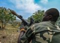 Irumu : deux combattants ADF neutralisés et trois capturés à Kazaroho