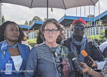 La cheffe par interim de la MONUSCO à Goma pour faire avancer le Mécanisme du cessez-le-feu