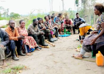 Ituri : la chefferie de Wagongo confrontée à une crise exacerbée par l&rsquo;afflux de déplacés de Djugu