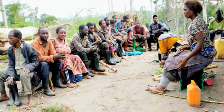 Ituri : la chefferie de Wagongo confrontée à une crise exacerbée par l&rsquo;afflux de déplacés de Djugu