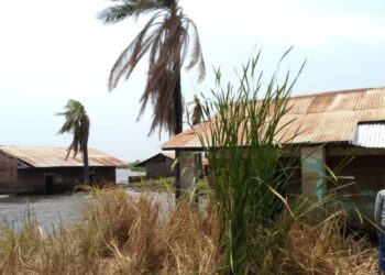 Ituri : la chefferie de Wagongo confrontée à une crise exacerbée par l&rsquo;afflux de déplacés de Djugu