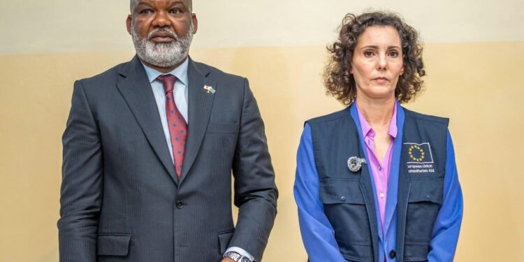 Est de la RDC : devant l&rsquo;AFC-M23, l&rsquo;UE rappelle le respect du DIH