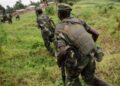 Butembo : le REDHO dénonce les abus attribués à des éléments Wazalendo