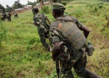 Butembo : le REDHO dénonce les abus attribués à des éléments Wazalendo