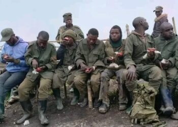 Est de la RDC : 20 éléments de l&rsquo;AFC-M23/Twirwaneho se rendent aux FARDC