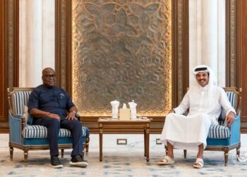 Entre la guerre dans l&rsquo;Est de la RDC et le conflit au Moyen-Orient, rencontre au sommet entre Tshisekedi et Cheikh Tamin