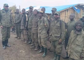 Sud-Kivu : 13 éléments Twirwaneho se rendent aux FARDC