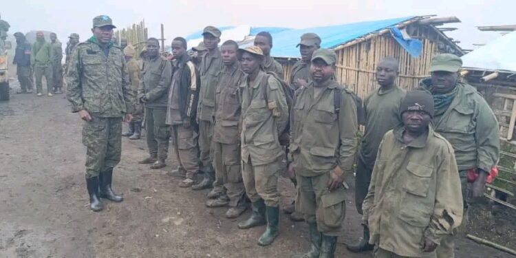 Sud-Kivu : 13 éléments Twirwaneho se rendent aux FARDC