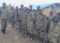 Sud-Kivu : de nouveaux combattants de l&rsquo;AFC-M23/Twirwaneho se rendent aux FARDC