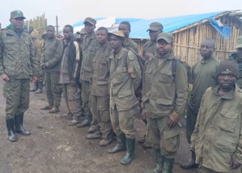 Sud-Kivu : de nouveaux combattants de l&rsquo;AFC-M23/Twirwaneho se rendent aux FARDC
