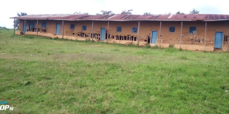 IMG-20260428-WA0040 - Agora Grands-Lacs Irumu : l’éducation des enfants sacrifiée par l’irrégularité des enseignants à Bandavilema
