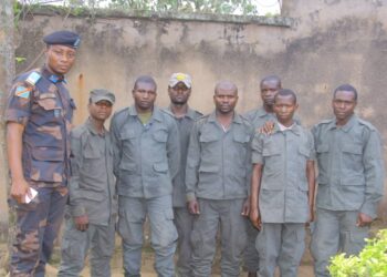 Est de la RDC : entre février et mars, 263 combattants de l&rsquo;AFC-M23 se sont rendus aux FARDC