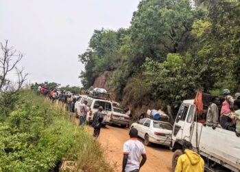 Ebola en RDC : le trafic coupé entre Goma et Butembo (communiqué)
