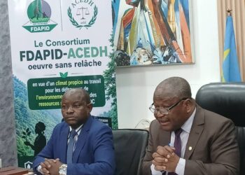 RDC : quand la réalité contraste avec l’image du « pays solution » à la crise climatique !