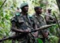 Mambasa : découverte de neuf corps des civils tués par les ADF dans le Babila-Babombi
