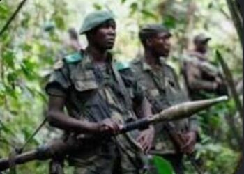 Mambasa : découverte de neuf corps des civils tués par les ADF dans le Babila-Babombi