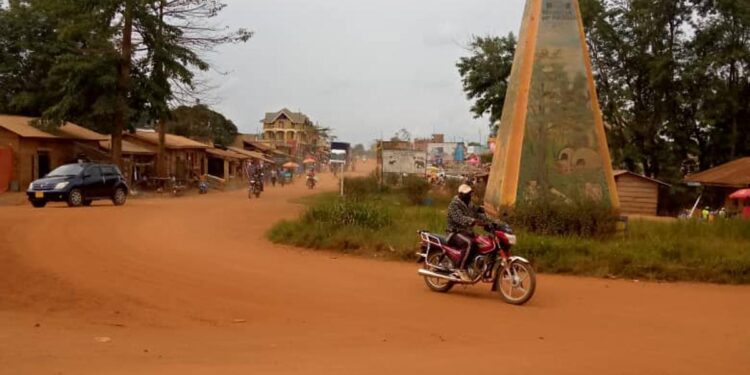 IMG-20260524-WA0050 - Agora Grands-Lacs Mambasa : plus de 30 corps de civils découverts en 48 heures