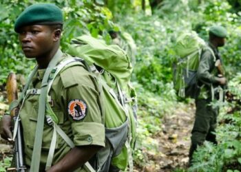 RDC : deux écogardes du PNVi perdent la vie dans une attaque « lâche »