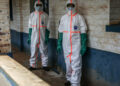 Ebola en RDC : 282 cas confirmés dont 264 en Ituri !