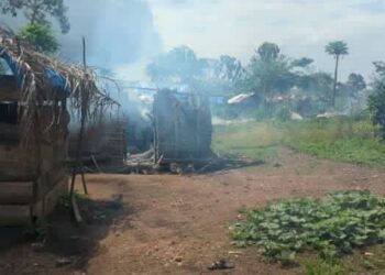 Beni : au moins 6 morts dans une incursion des ADF à Kididiwe !
