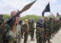 Est de la RDC : en 12 ans, plus de 15 000 civils par les ADF (document)