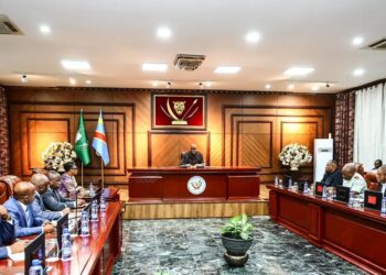 Kinshasa : Félix Tshisekedi donne sa vision à la Task force
