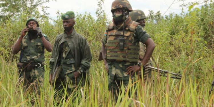 IMG-20260617-WA0002 - Agora Grands-Lacs Est de la RDC : l’armée fonce sur Minembwe – centre !